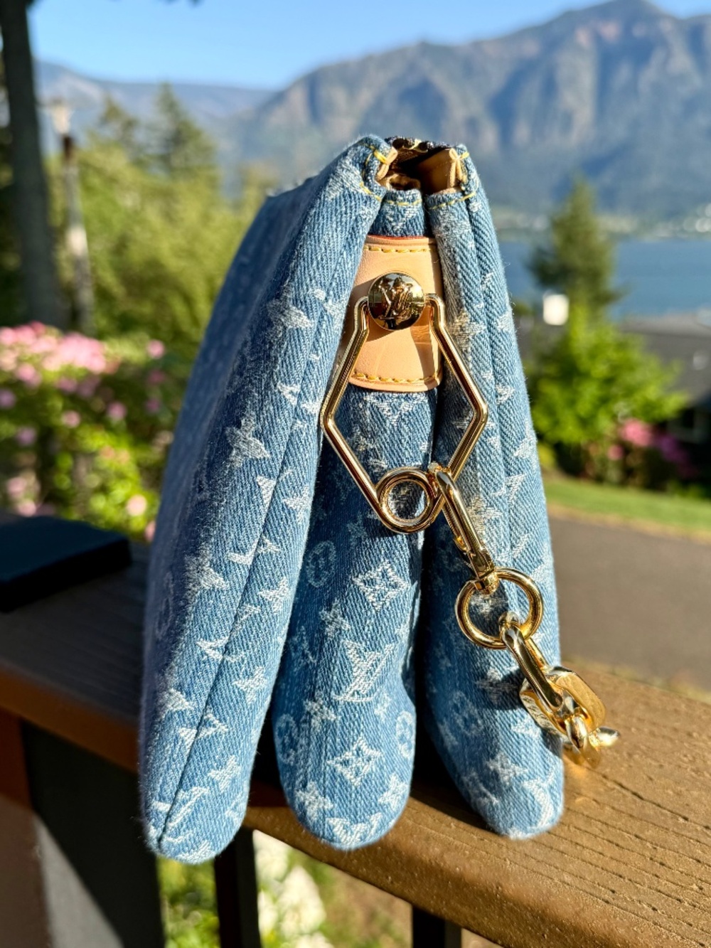 Coussin PM Monogram Denim - Read Description